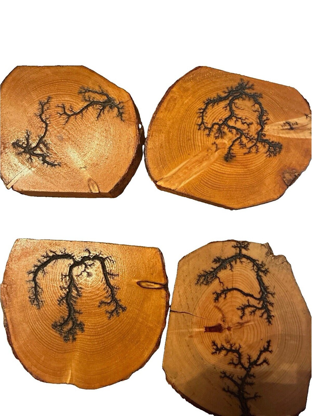 Title: Set of 4 Handmade Lichtenberg Fractal Burned Coasters (4.5" W x 1" Thick)